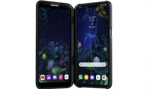 LG