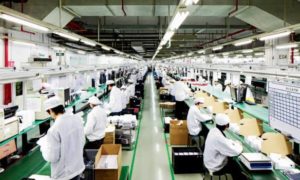 apple production