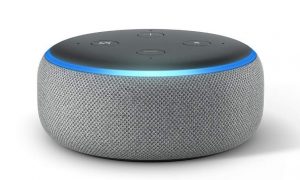 Echo Dot